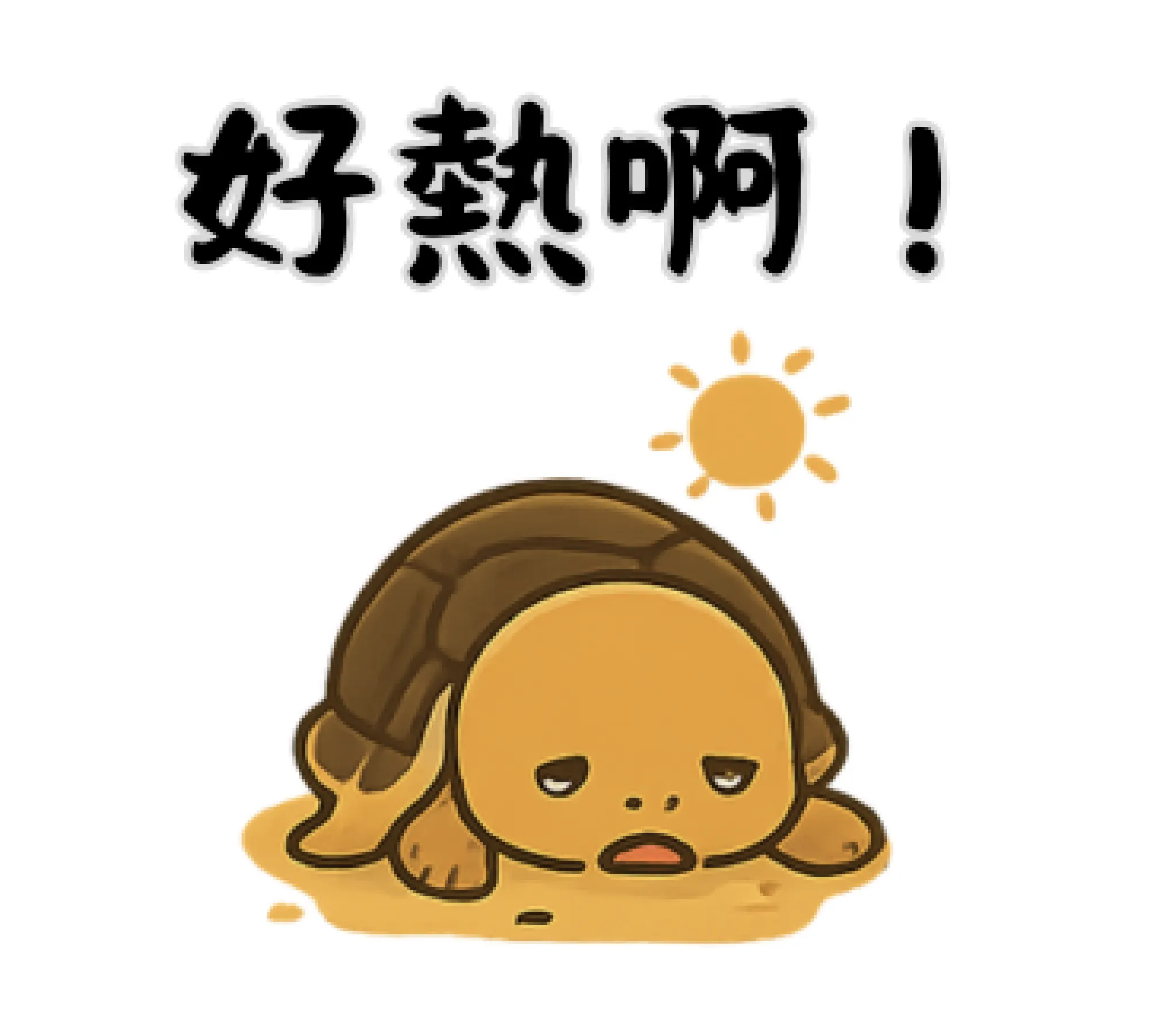 【貼圖上架】療癒系小烏龜的日常，讓心情也慢下來！
